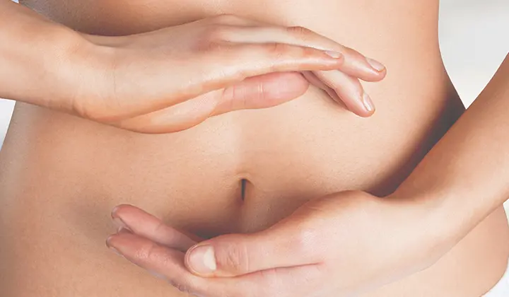 Präbiotika fördern Bakterien im Dickdarm 